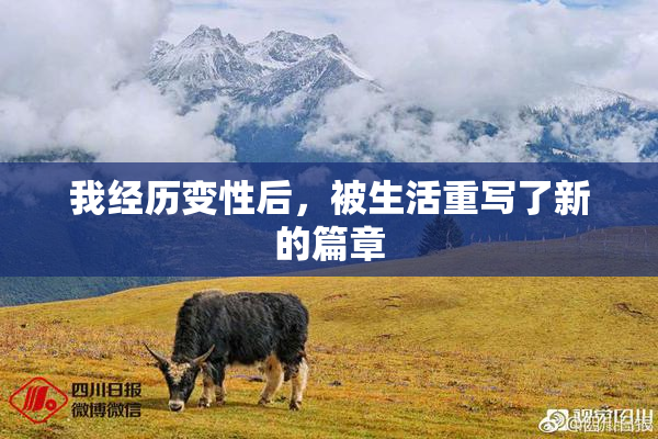 我经历变性后，被生活重写了新的篇章