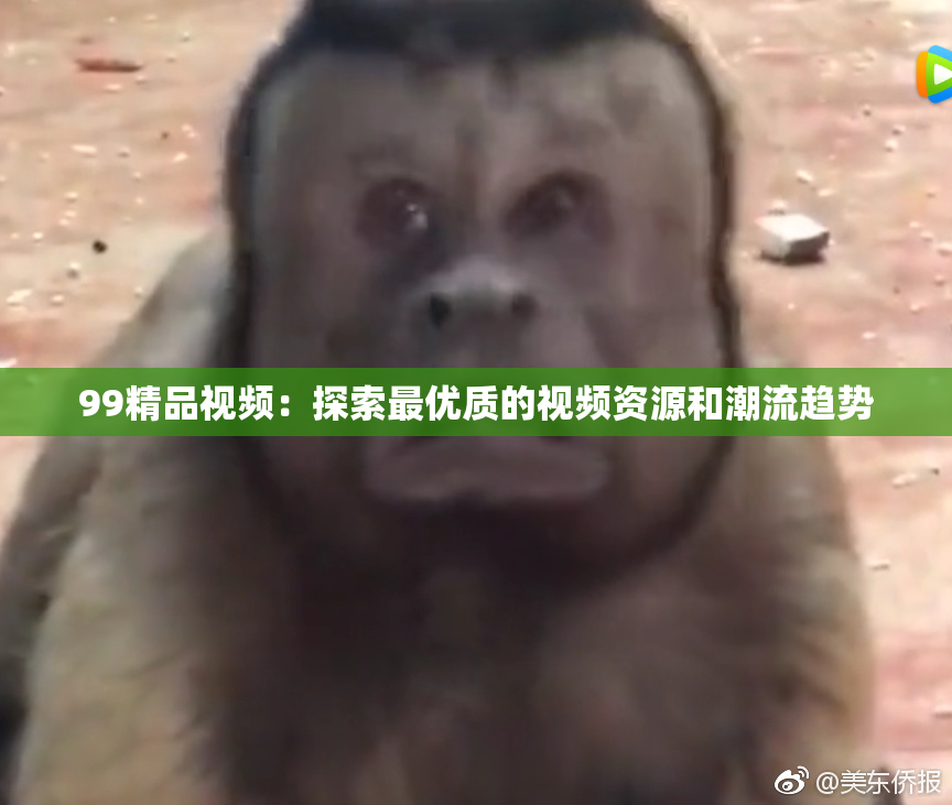 99精品视频：探索最优质的视频资源和潮流趋势