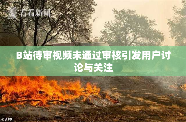 B站待审视频未通过审核引发用户讨论与关注