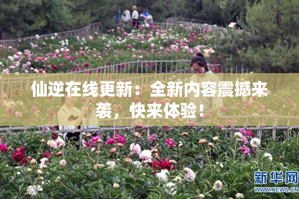 仙逆在线更新：全新内容震撼来袭，快来体验！