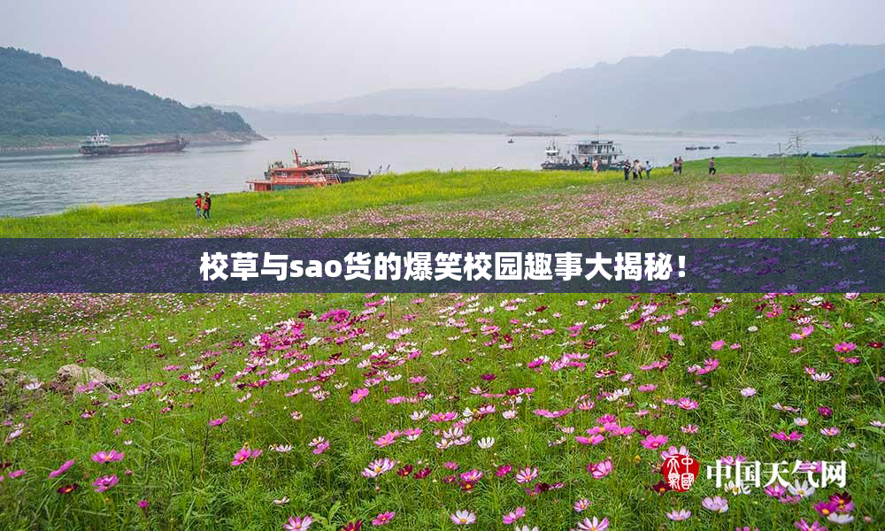 校草与sao货的爆笑校园趣事大揭秘！