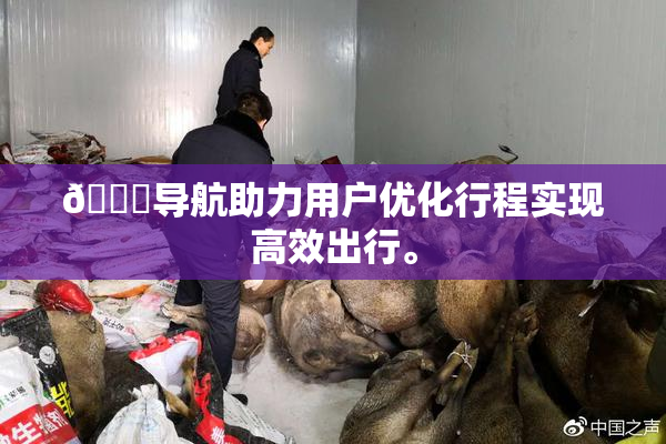 🍓导航助力用户优化行程实现高效出行。