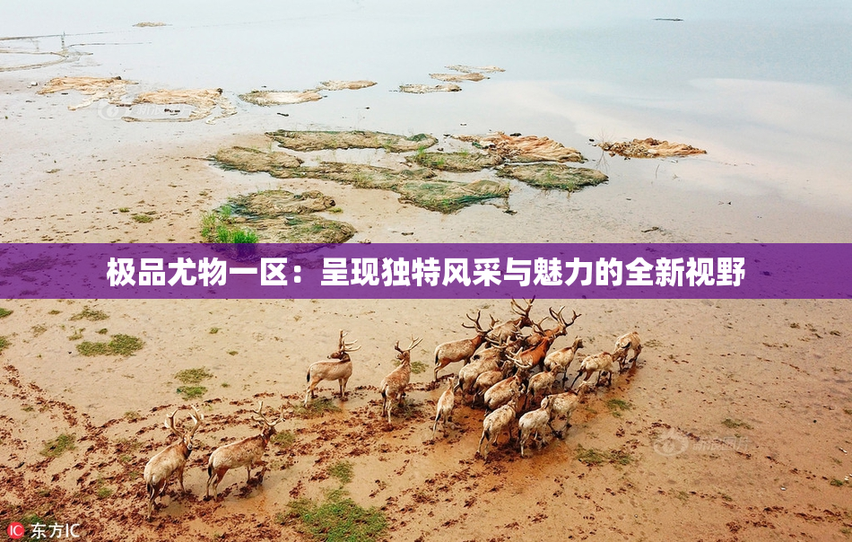 极品尤物一区：呈现独特风采与魅力的全新视野