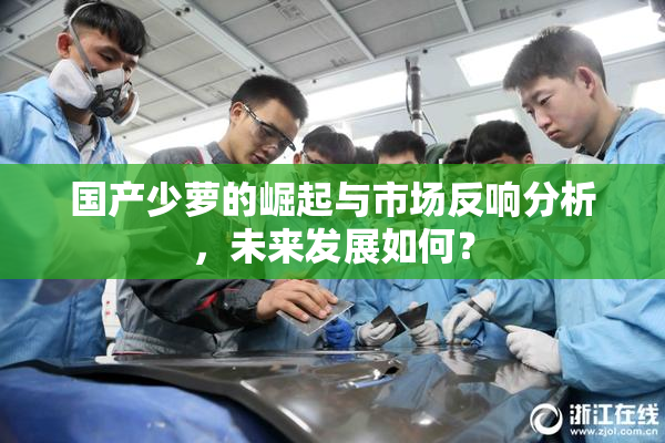 国产少萝的崛起与市场反响分析，未来发展如何？