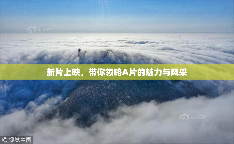 新片上映，带你领略A片的魅力与风采