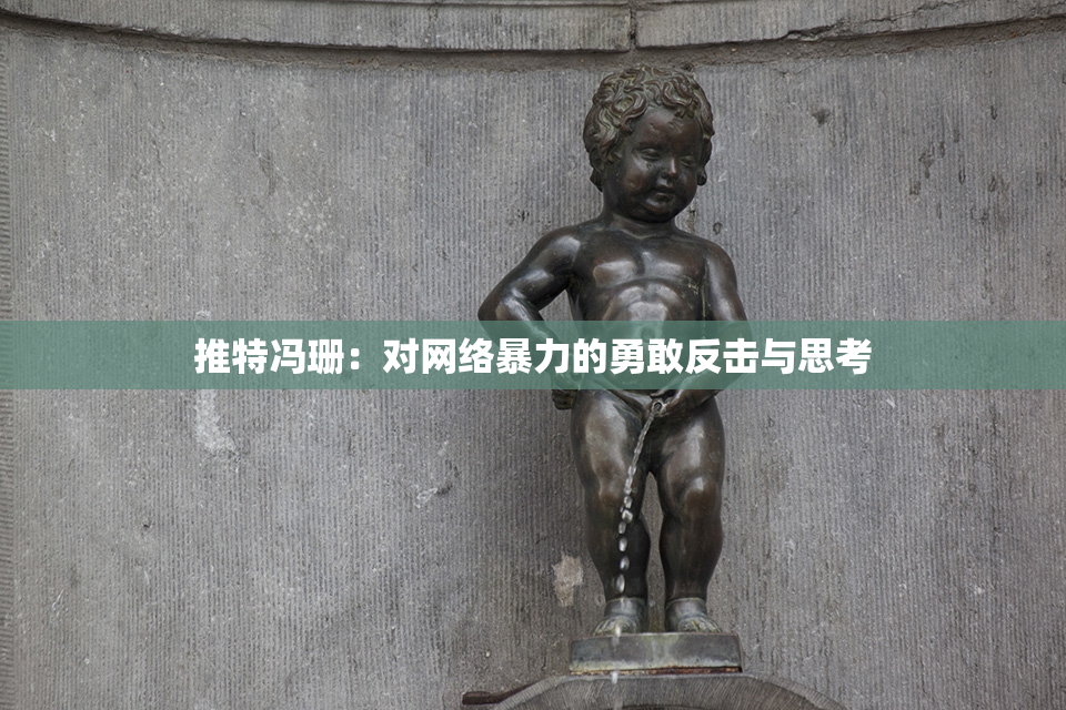 推特冯珊：对网络暴力的勇敢反击与思考