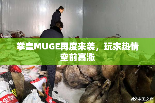 拳皇MUGE再度来袭，玩家热情空前高涨