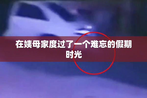 在姨母家度过了一个难忘的假期时光