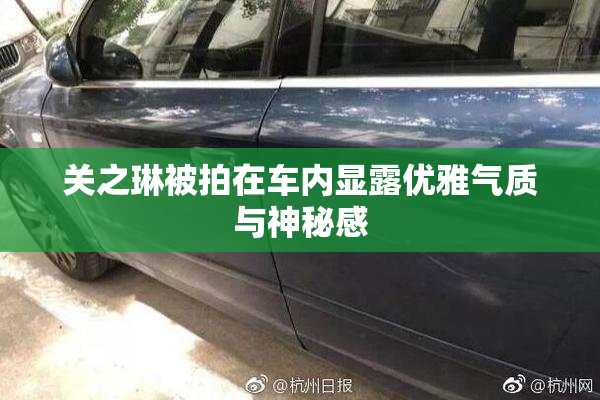 关之琳被拍在车内显露优雅气质与神秘感
