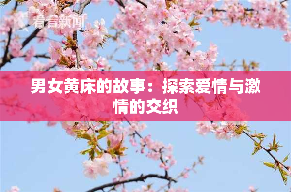男女黄床的故事：探索爱情与激情的交织
