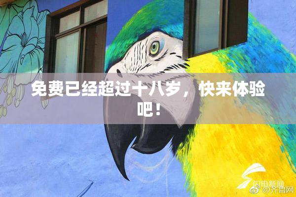 免费已经超过十八岁，快来体验吧！