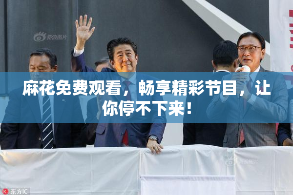 麻花免费观看，畅享精彩节目，让你停不下来！