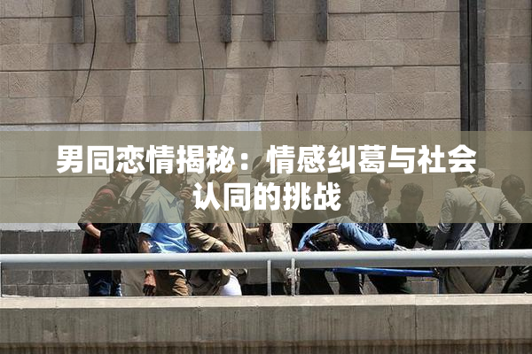 男同恋情揭秘：情感纠葛与社会认同的挑战