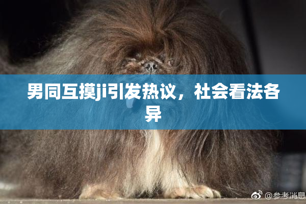 男同互摸ji引发热议，社会看法各异