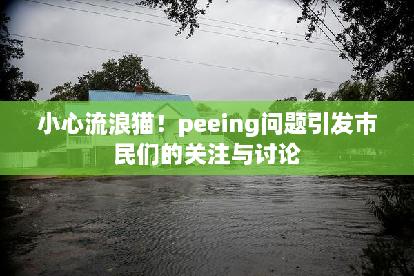 小心流浪猫！peeing问题引发市民们的关注与讨论