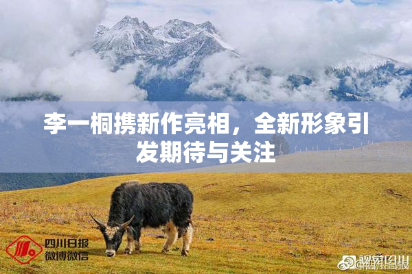 李一桐携新作亮相，全新形象引发期待与关注