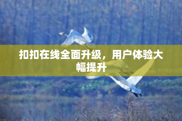 扣扣在线全面升级，用户体验大幅提升
