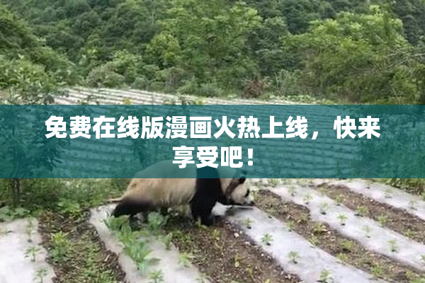 免费在线版漫画火热上线，快来享受吧！