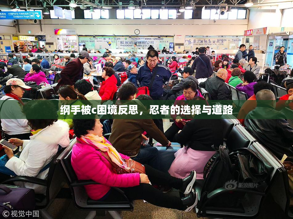 纲手被c困境反思，忍者的选择与道路