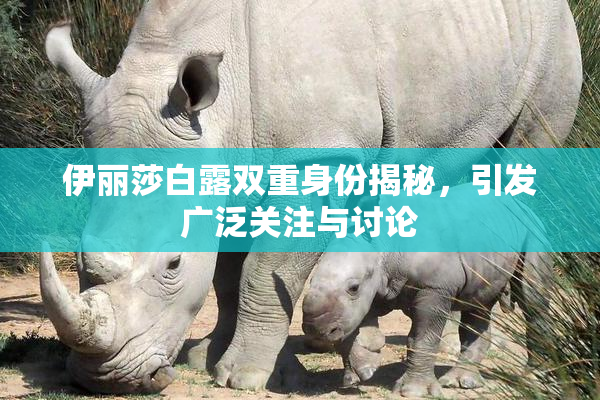 伊丽莎白露双重身份揭秘，引发广泛关注与讨论