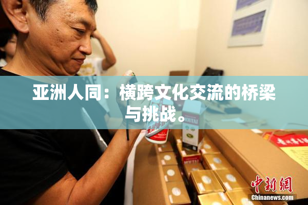 亚洲人同：横跨文化交流的桥梁与挑战。