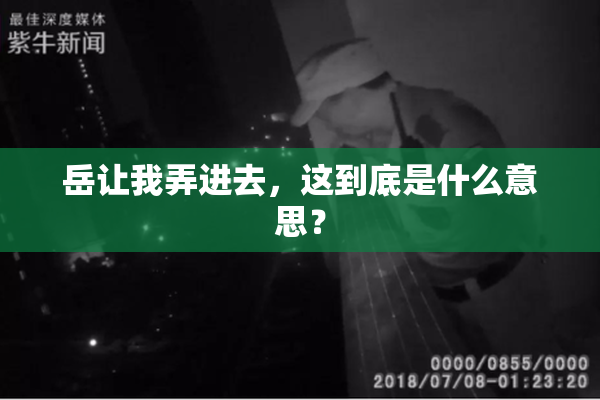 岳让我弄进去，这到底是什么意思？