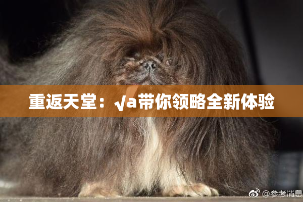 重返天堂：√a带你领略全新体验