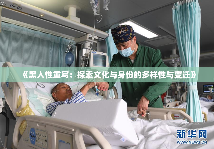 《黑人性重写：探索文化与身份的多样性与变迁》