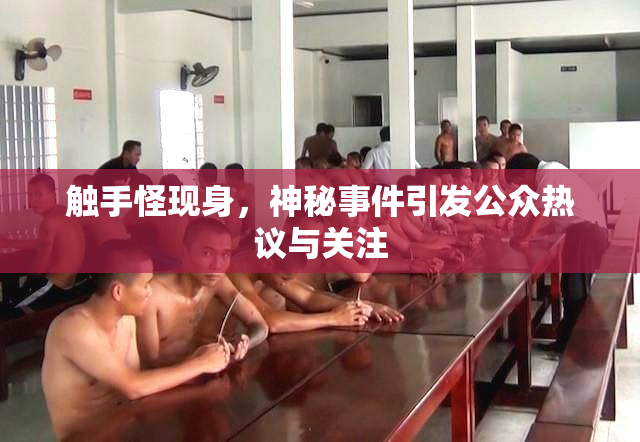 触手怪现身，神秘事件引发公众热议与关注