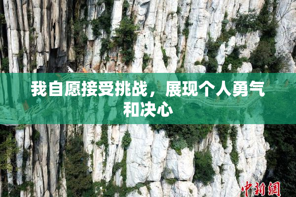 我自愿接受挑战，展现个人勇气和决心