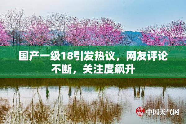 国产一级18引发热议，网友评论不断，关注度飙升