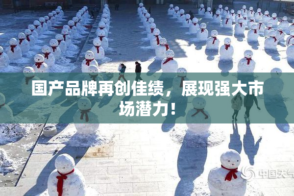 国产品牌再创佳绩，展现强大市场潜力！