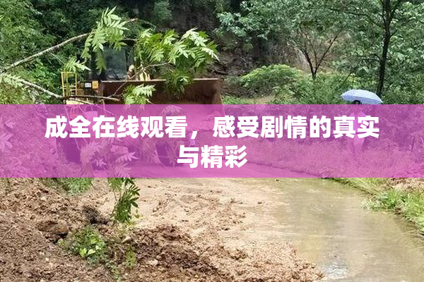 成全在线观看，感受剧情的真实与精彩