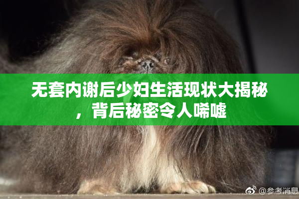 无套内谢后少妇生活现状大揭秘，背后秘密令人唏嘘