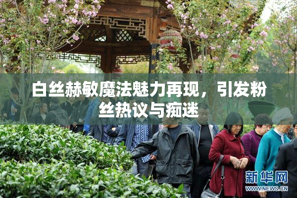 白丝赫敏魔法魅力再现，引发粉丝热议与痴迷