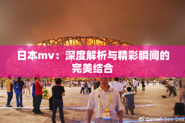 日本mv：深度解析与精彩瞬间的完美结合
