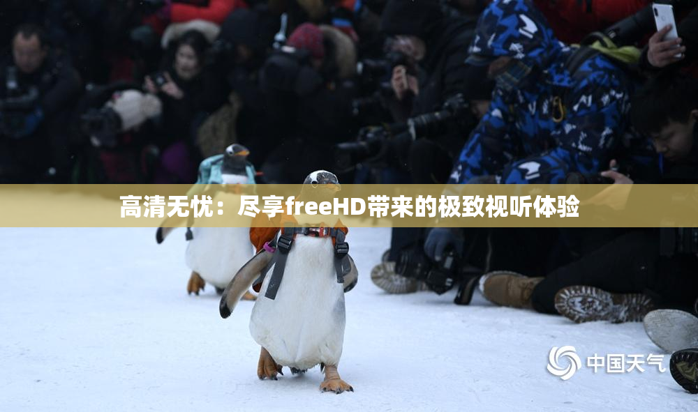 高清无忧：尽享freeHD带来的极致视听体验
