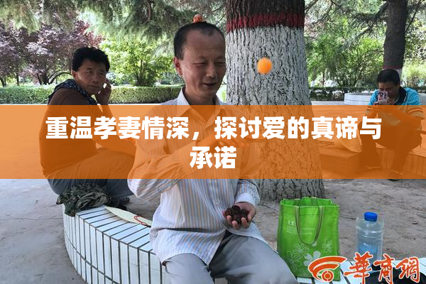 重温孝妻情深，探讨爱的真谛与承诺