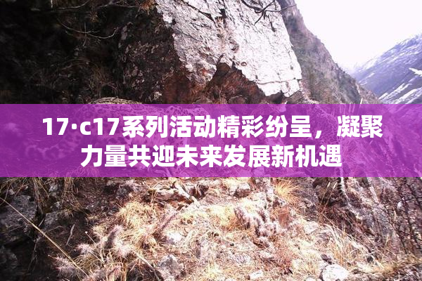 17·c17系列活动精彩纷呈，凝聚力量共迎未来发展新机遇