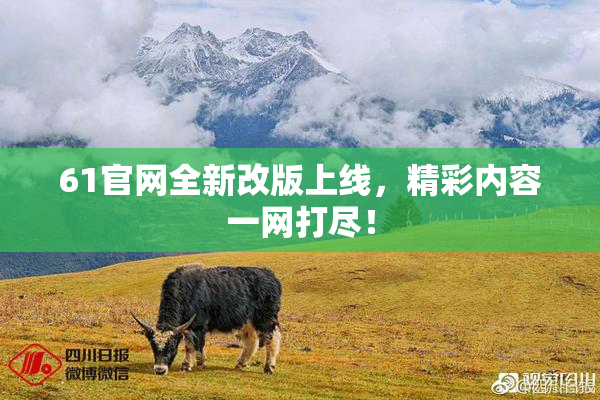 61官网全新改版上线，精彩内容一网打尽！