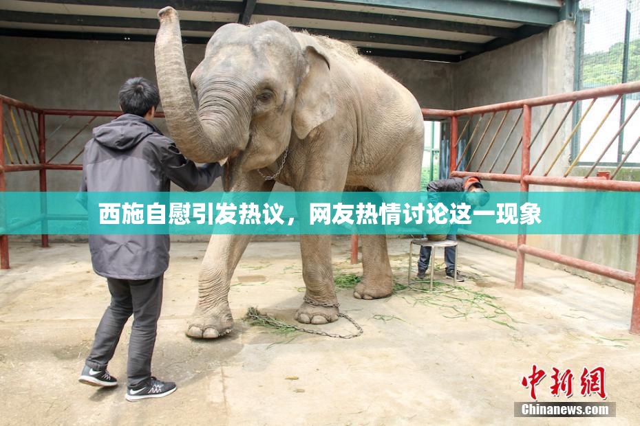 西施自慰引发热议，网友热情讨论这一现象