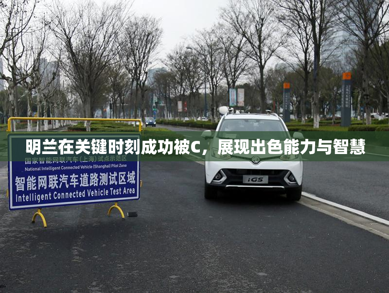 明兰在关键时刻成功被C，展现出色能力与智慧