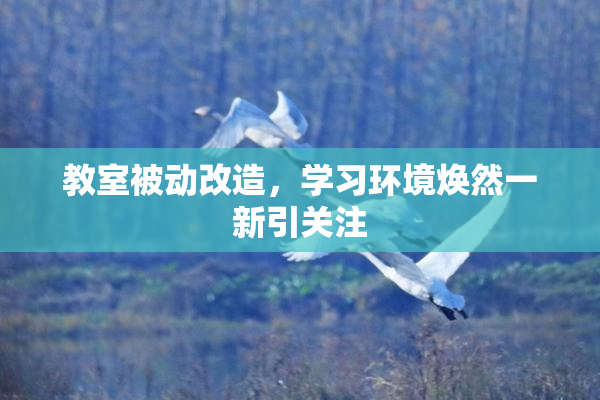 教室被动改造，学习环境焕然一新引关注