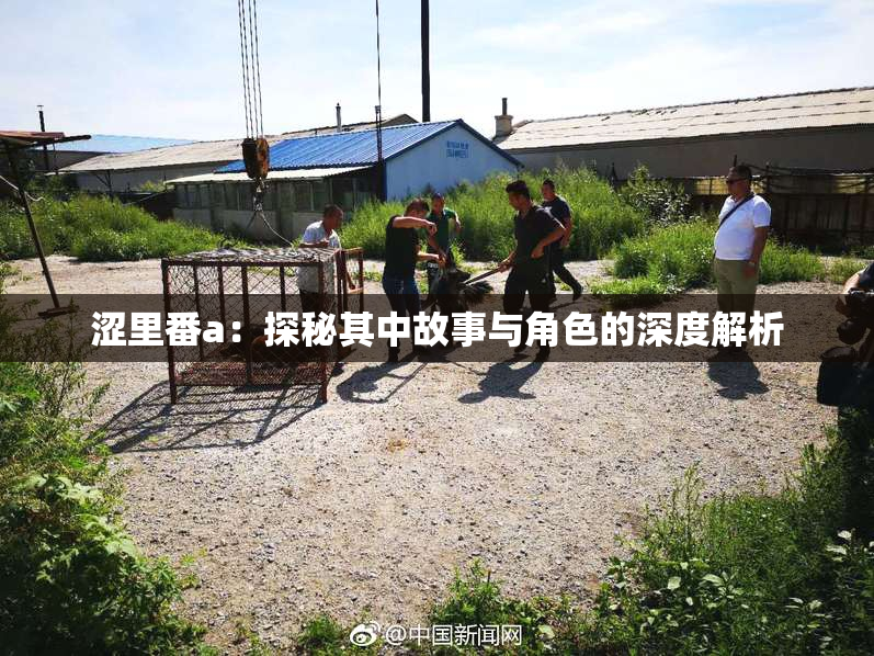 涩里番a：探秘其中故事与角色的深度解析