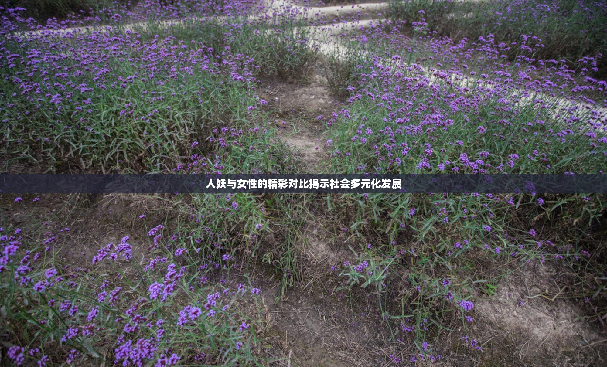 人妖与女性的精彩对比揭示社会多元化发展