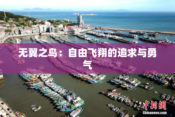 无翼之鸟：自由飞翔的追求与勇气