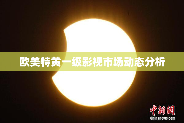 欧美特黄一级影视市场动态分析