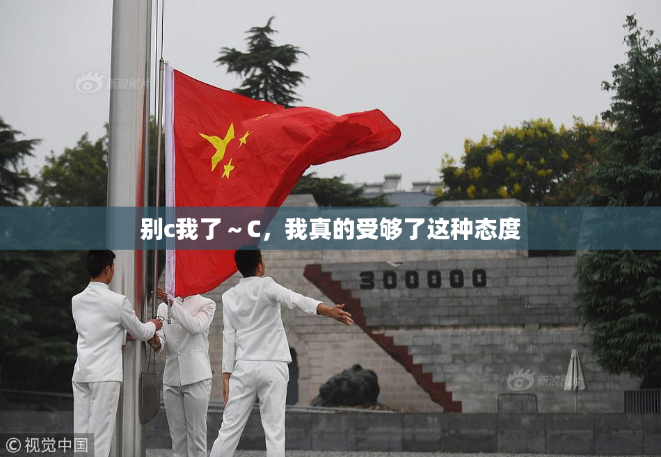 别c我了～C，我真的受够了这种态度