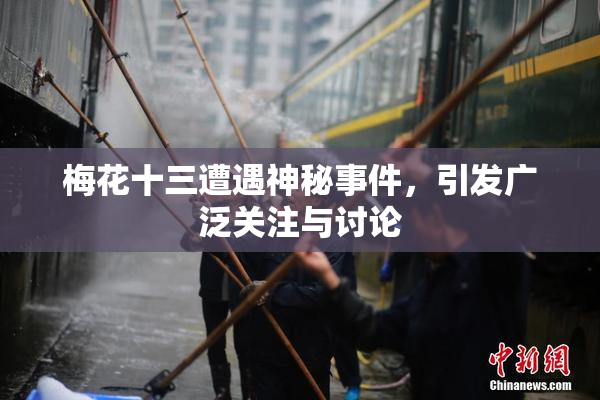 梅花十三遭遇神秘事件，引发广泛关注与讨论