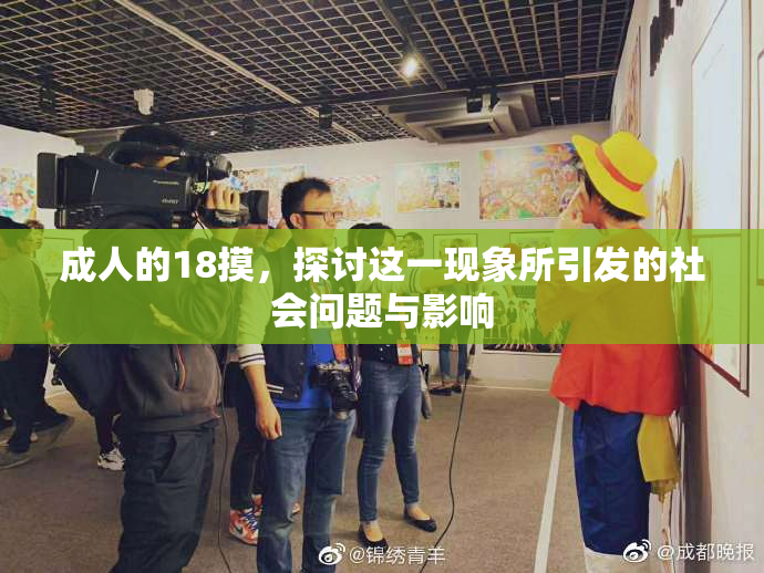 成人的18摸，探讨这一现象所引发的社会问题与影响